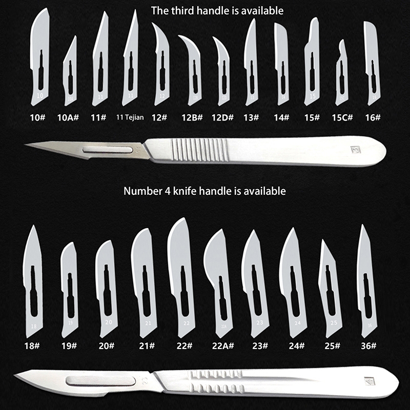 Hobby Knife Blade - ユーティリティ医療用外科ナイフ交換用ブレードハンドル（スケール付き）DIY切断ハンドツール3 # 4 # ステンレス鋼製メス